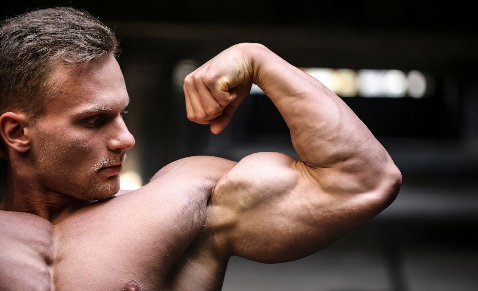 Best Bicep Exercises for Explosive Growth